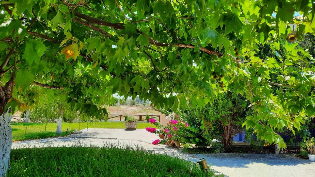 Alekos Beach Houses-Angelo Lixouri Esterno foto